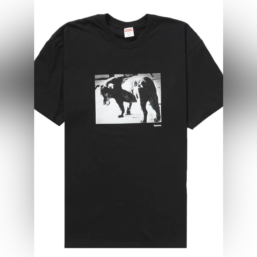 SUPREME x Daido Moriyama Collab Dog tee black XL Brand New sold out very rare!